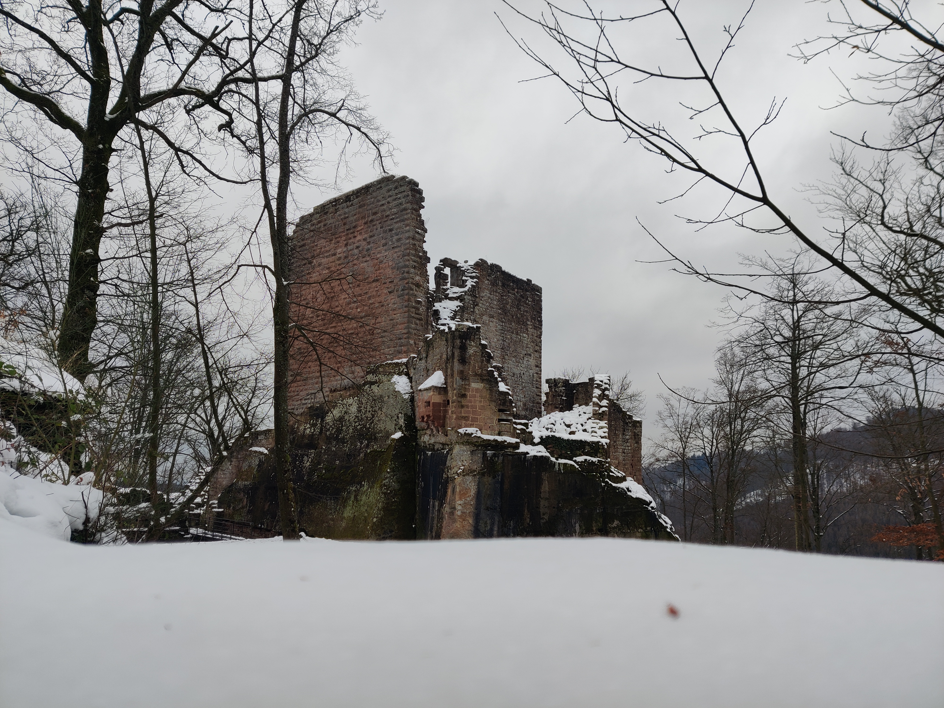 Photo n° 9 de l'avis de Pfalz.o fait le 24/01/2023 à 17:55
