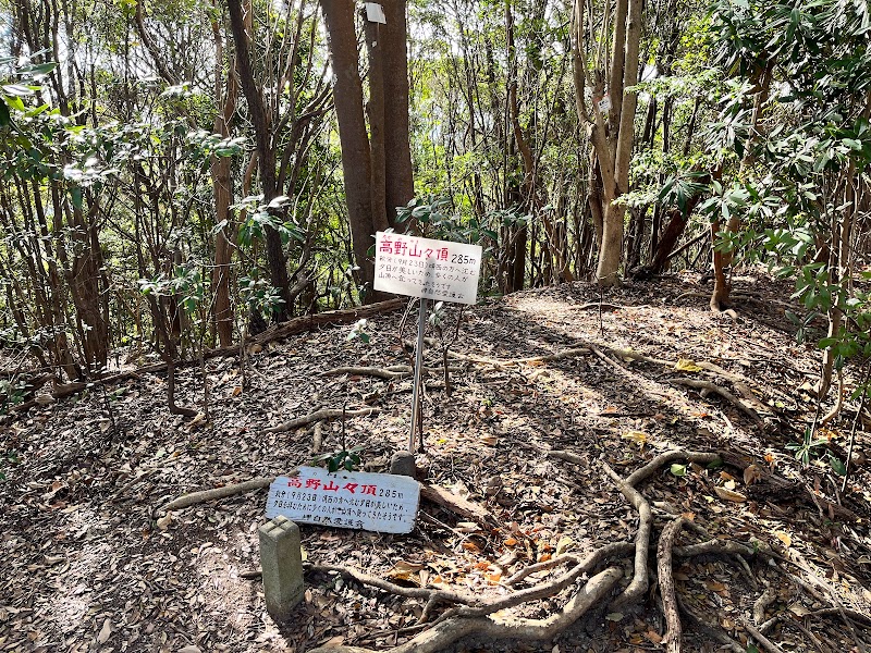 高野山城跡