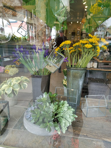 Florist «Jephry Flower Studio», reviews and photos, 432 Broadway, Providence, RI 02909, USA