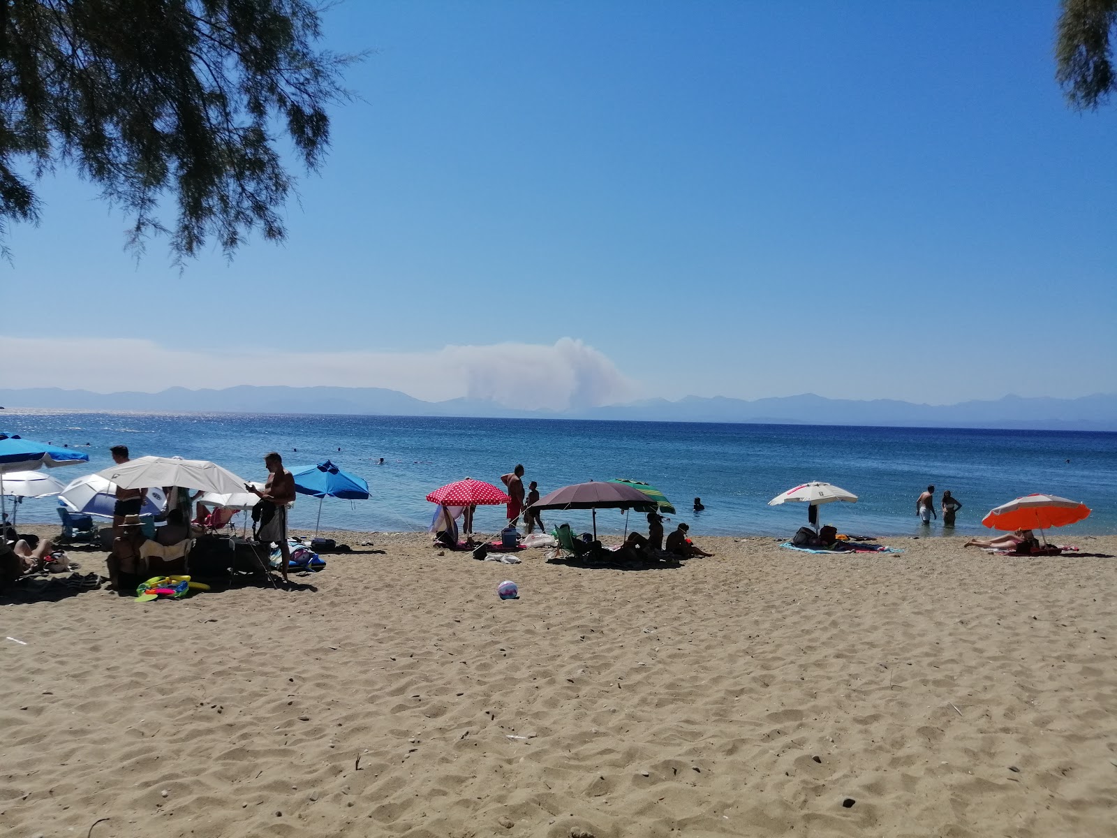 Fotografie cu Bozas beach amplasat într-o zonă naturală