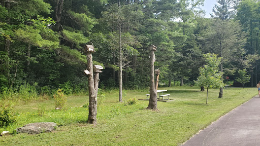 Tourist Attraction «Mystery Hill», reviews and photos, 129 Mystery Hill Ln, Blowing Rock, NC 28605, USA