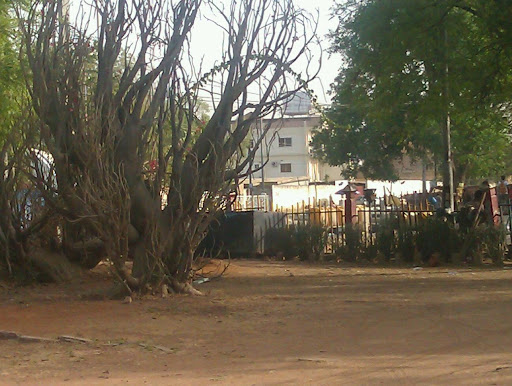 Electronic Connections Limited, 25 Race Course Rd, Nassarawa, Kano, Nigeria, Computer Store, state Kano