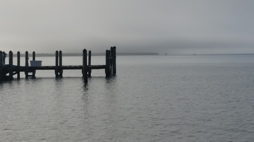 Marina «Fort Pierce City Marina», reviews and photos, 1 Avenue A, Fort Pierce, FL 34950, USA