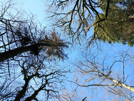 Park «Schmitz Preserve Park», reviews and photos, 5551 SW Admiral Way, Seattle, WA 98116, USA