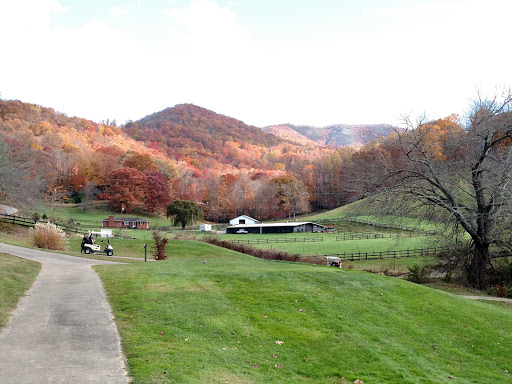 National Forest «Pisgah National Forest», reviews and photos, 1600 Pisgah Highway, Nebo, NC 28761, USA