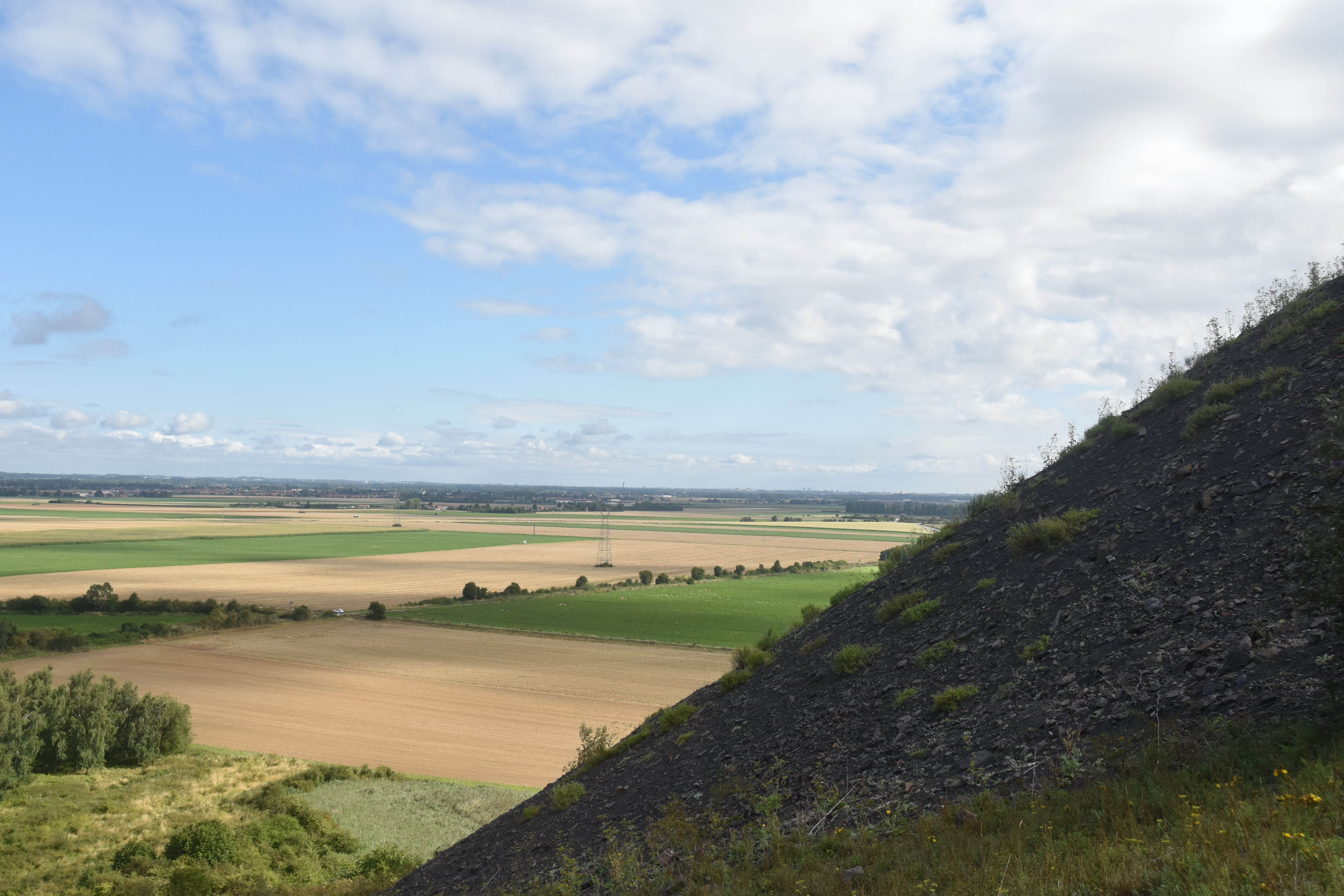 Photo n° 9 de l'avis de Robb.t fait le 17/08/2023 à 13:46