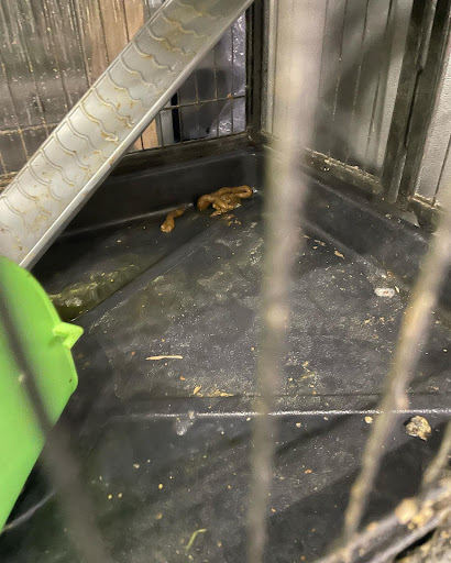 Pet Supply Store «Pet Supplies Plus», reviews and photos, 1380 W Lane Ave, Upper Arlington, OH 43221, USA