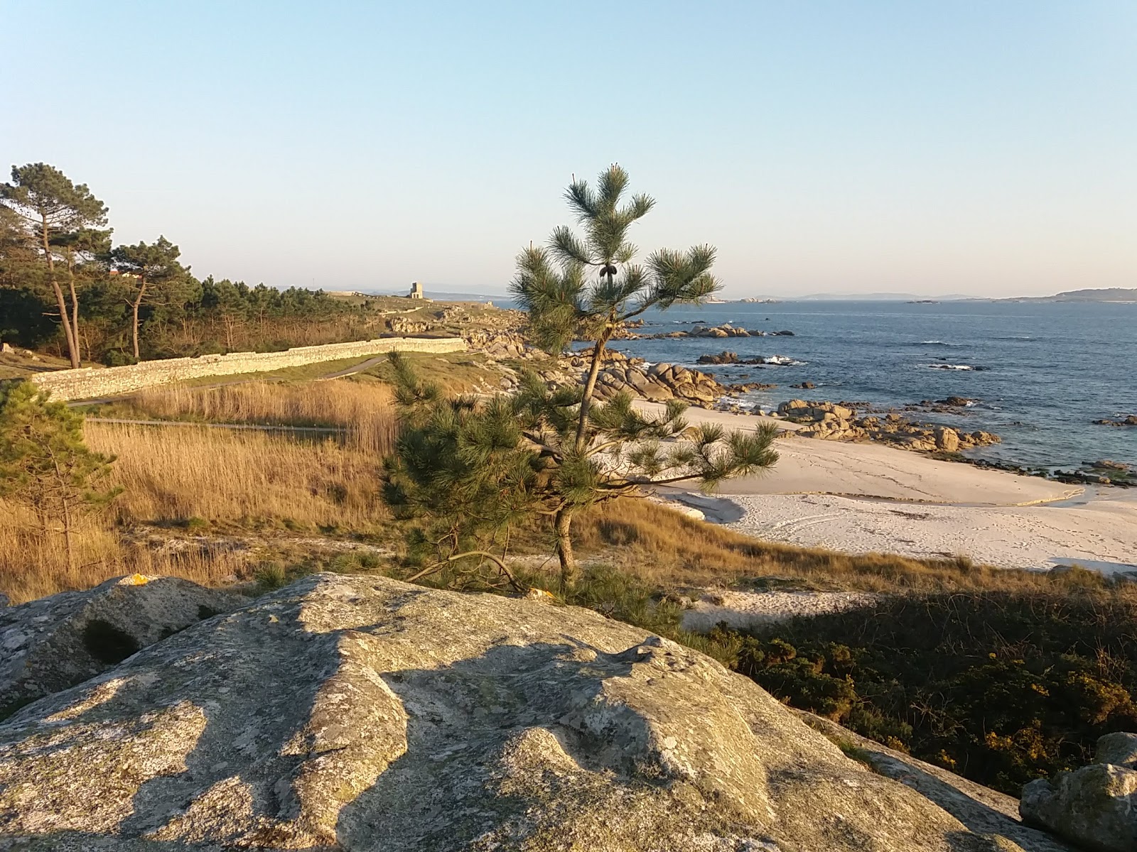 Celeirans beach'in fotoğrafı #86 yüzey ile