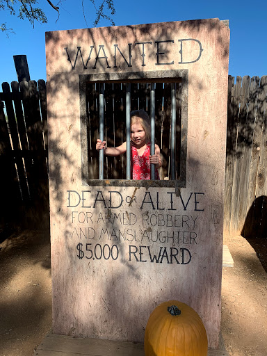 History Museum «Pioneer Living History Museum», reviews and photos, 3901 W Pioneer Rd, Phoenix, AZ 85086, USA