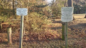 Dover Park - photo 10