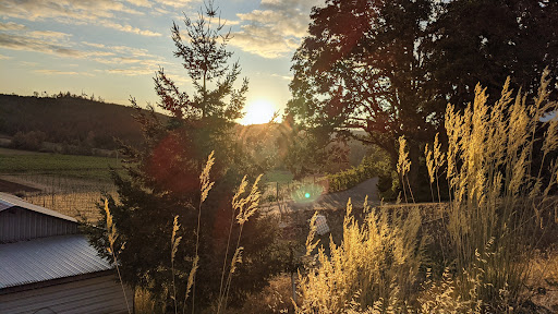 Winery «Airlie Winery», reviews and photos, 15305 Dunn Forest Rd, Monmouth, OR 97361, USA