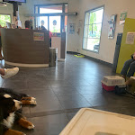 Photo n° 2 de l'avis de Natacha.a fait le 14/09/2022 à 16:04 pour Clinique Vétérinaires Sainte-Anne Sorgues à Sorgues