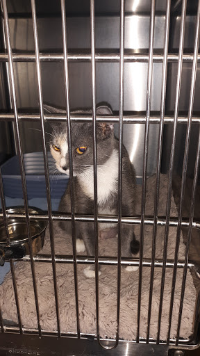 Pet Supply Store «Petsense Georgetown», reviews and photos, 112 Marketplace Cir, Georgetown, KY 40324, USA