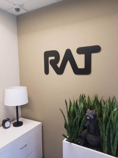 Rat Sound Systems, Inc image