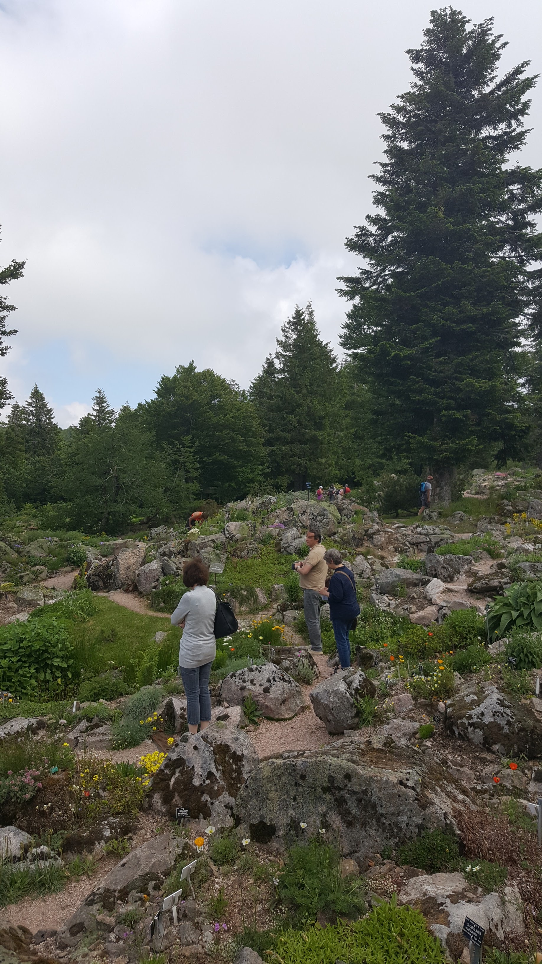 Photo n° 4 de l'avis de Jean-Sébastien.O fait le 23/06/2019 à 16:49