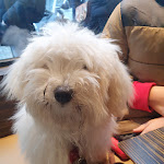 Photo n° 3 de l'avis de Alexandra.o fait le 21/12/2021 à 15:55 pour Elevage Vallée Du Léguer EARL à Plounévez-Moëdec