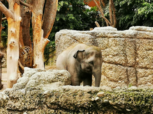 Rezensionen über Zoo Zürich in Zürich - Kulturzentrum