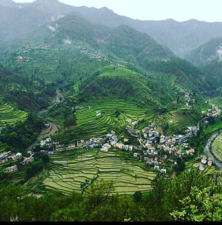 डांग-सेरा