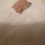 Photo n° 3 de l'avis de Kristina.i fait le 21/02/2023 à 19:17 pour Sandwicherie Caricin Grad à Bondy