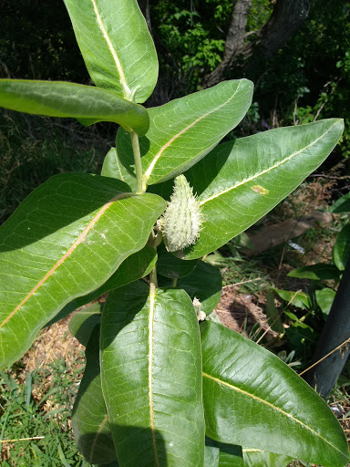 Park «Bear Creek Park», reviews and photos, 3550 S Raleigh St, Denver, CO 80236, USA