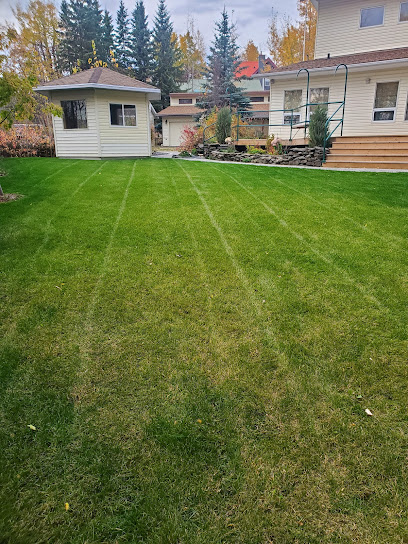 Dons Home and Lawn Maintenance