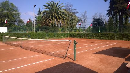Academia Go Tenis