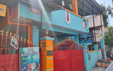 Raj Fish Aquarium, A House Shop in Dead End Street image