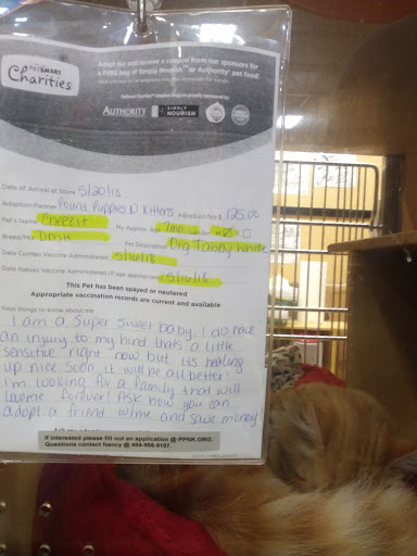Pet Supply Store «PetSmart», reviews and photos, 4056 Atlanta Hwy, Loganville, GA 30052, USA