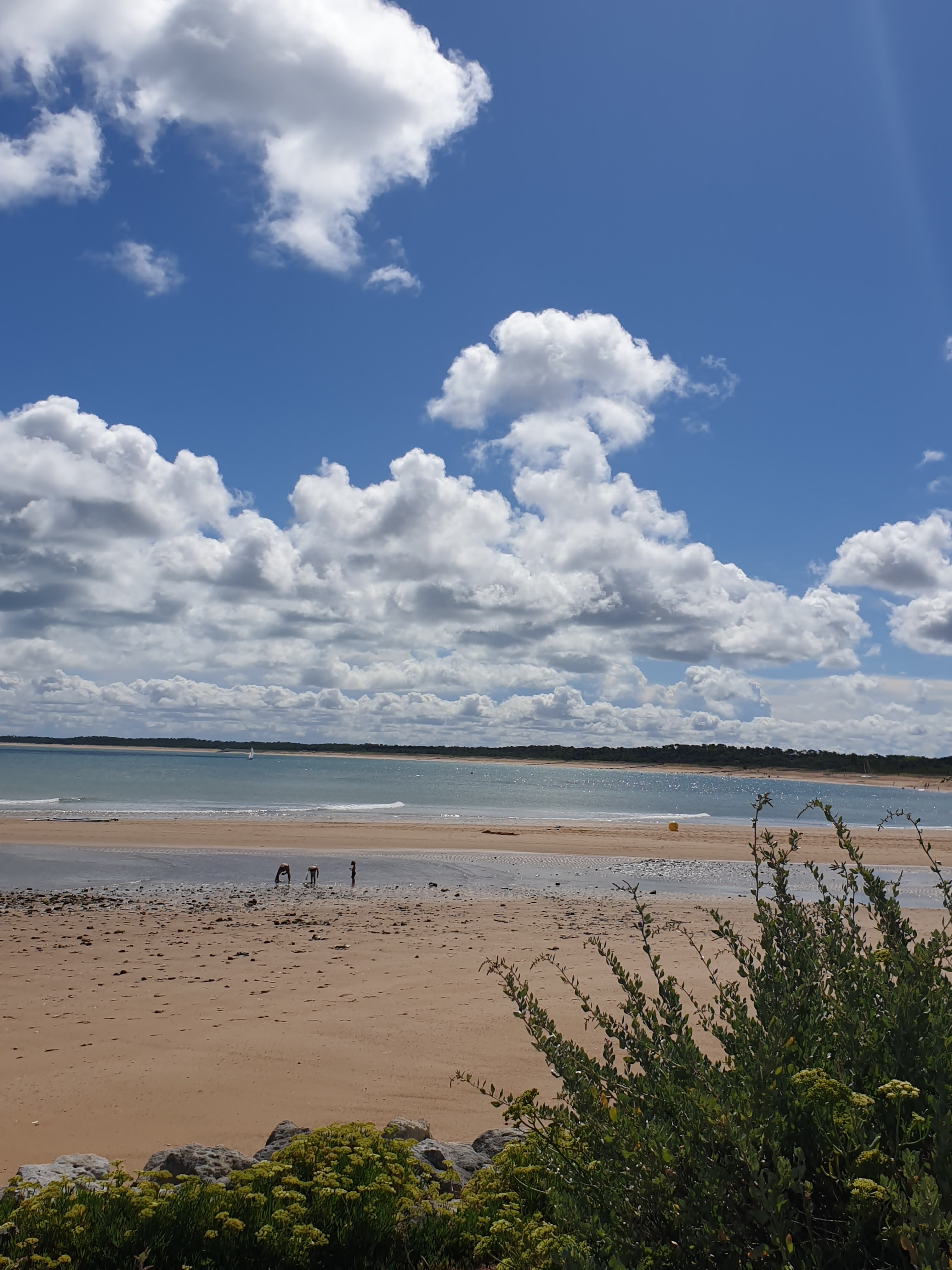 Photo n° 5 de l'avis de Switia.u fait le 30/08/2019 à 10:28