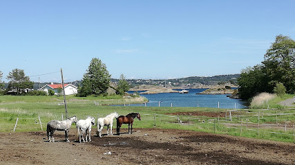 Sørbyøya hestesenter Gustavsen