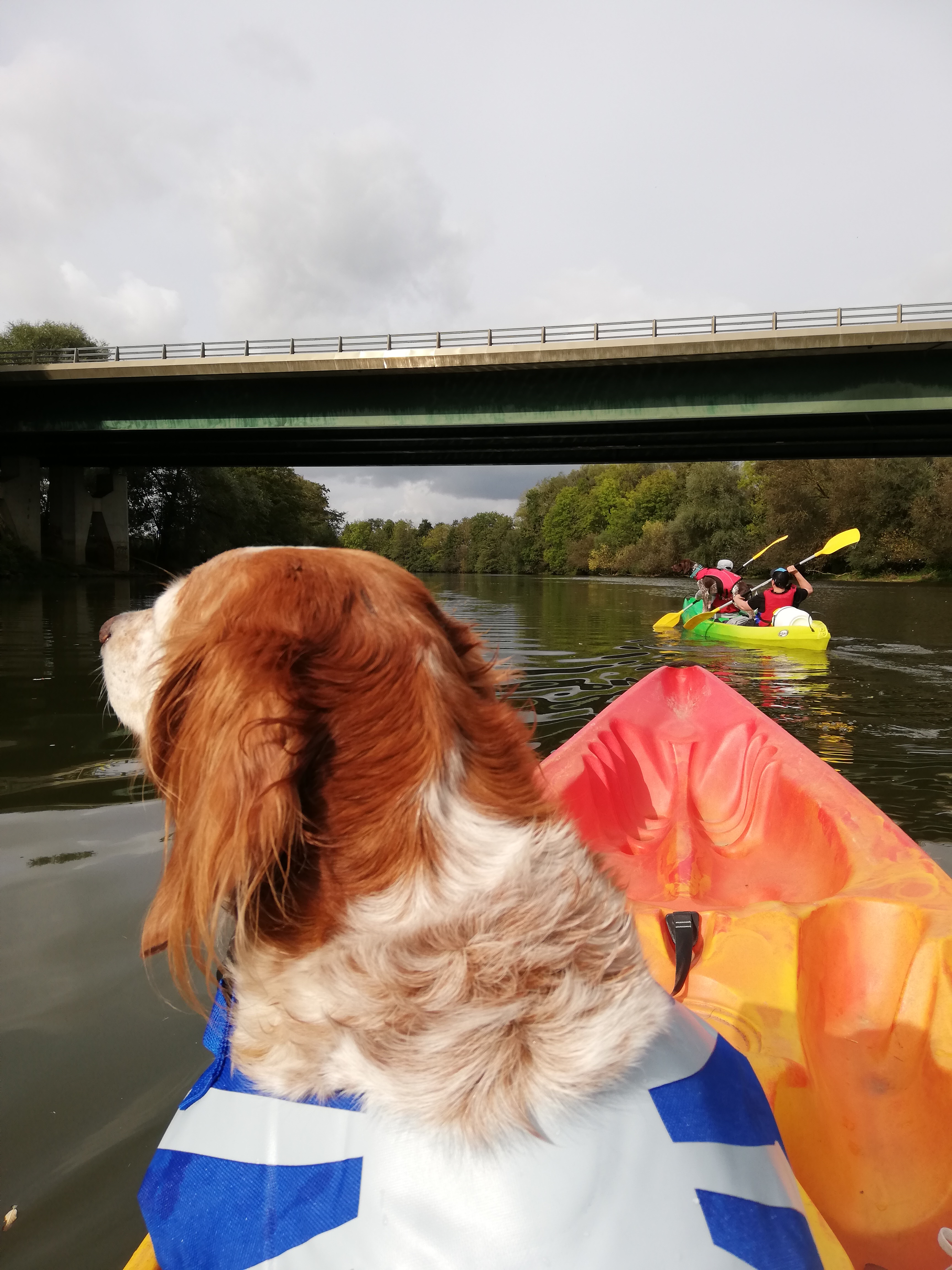 Photo n° 2 de l'avis de Samuel.e fait le 05/10/2023 à 15:55