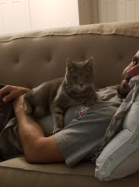 Elder Pet Care - Photo 3 - Car repair in Fort Collins, CO, Fort Collins