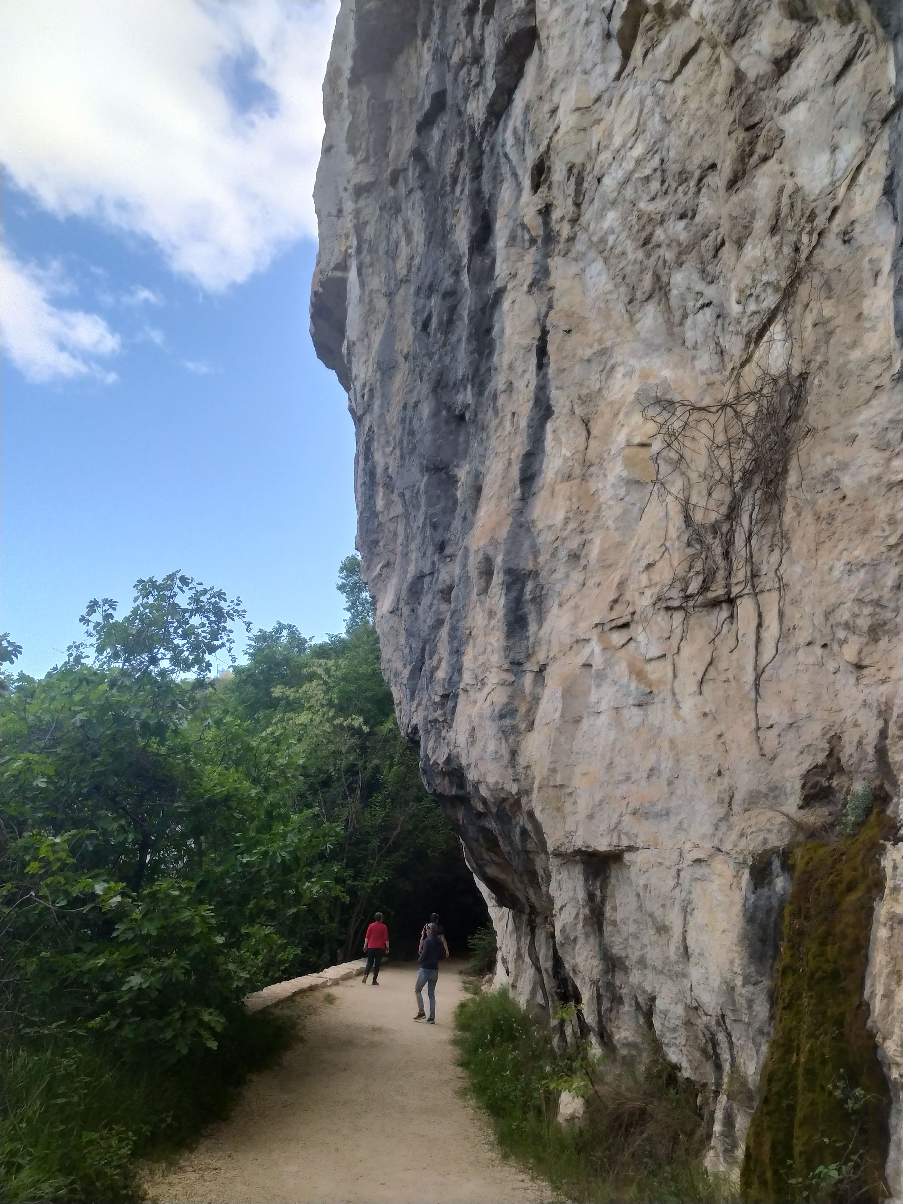 Photo n° 5 de l'avis de Bernard.e fait le 10/05/2023 à 10:36