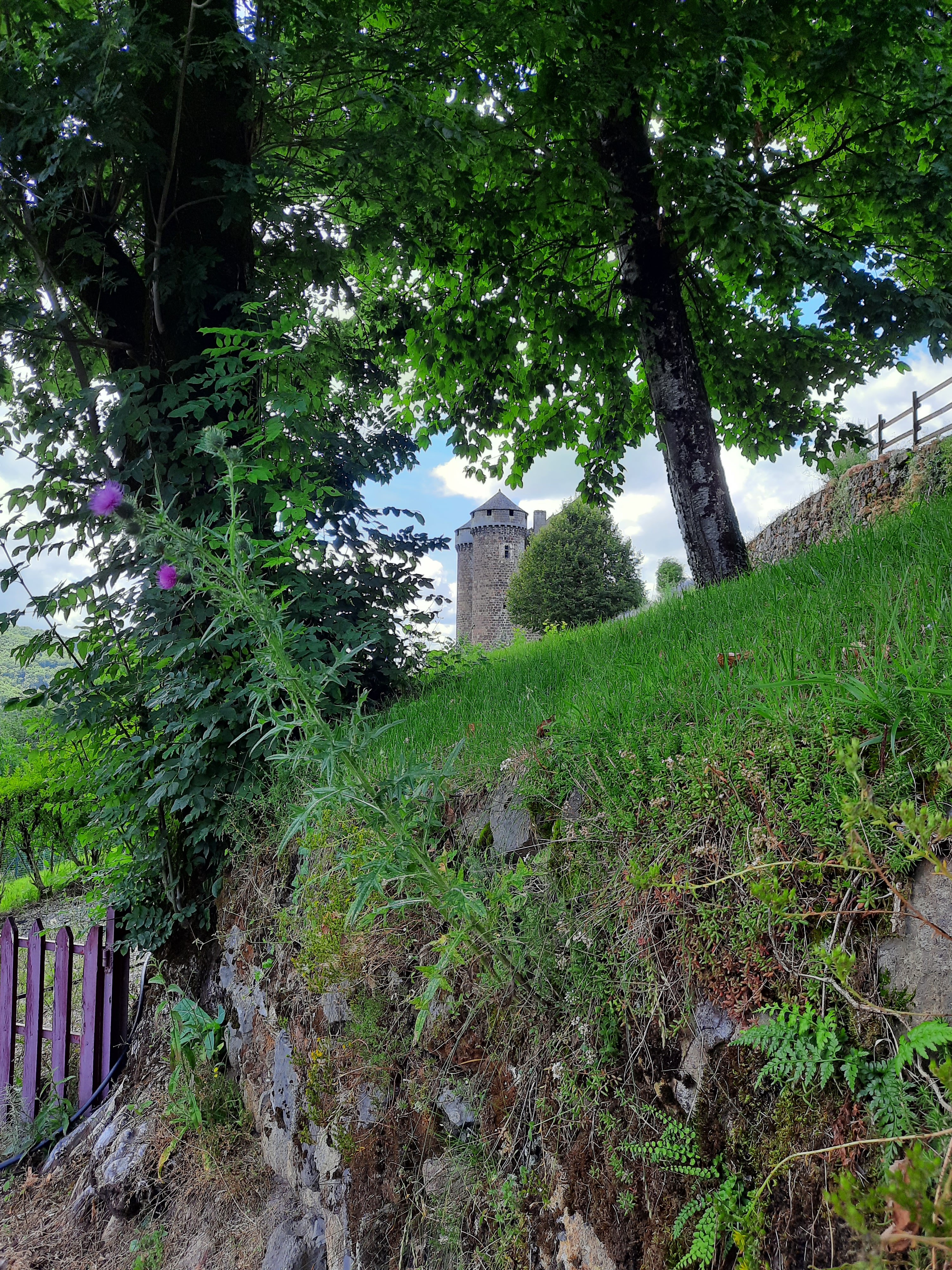 Photo n° 1 de l'avis de Swen.� fait le 02/08/2021 à 17:53