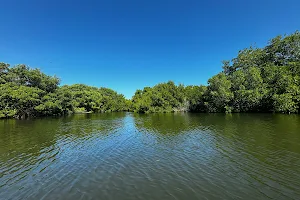 Parque Nacional Laguna de La Restinga image
