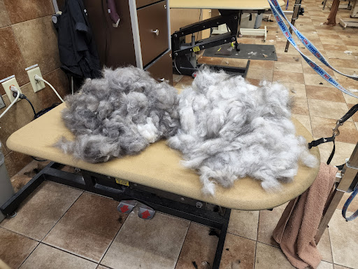 Pet Supply Store «PetSmart», reviews and photos, 225 Robert C Daniel Jr Pkwy, Augusta, GA 30909, USA