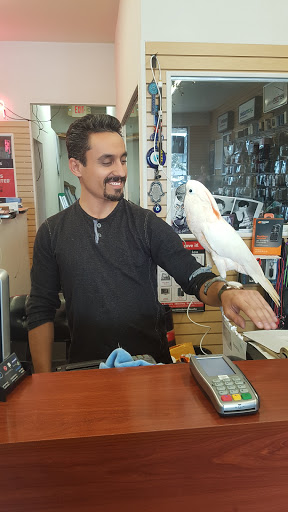 Cellular Gallery - Phone Repair - Santa Monica, CA image