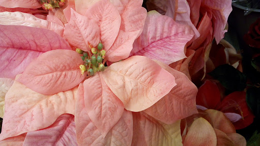 Craft Store «Michaels», reviews and photos, 339 Washington Rd, Washington, PA 15301, USA