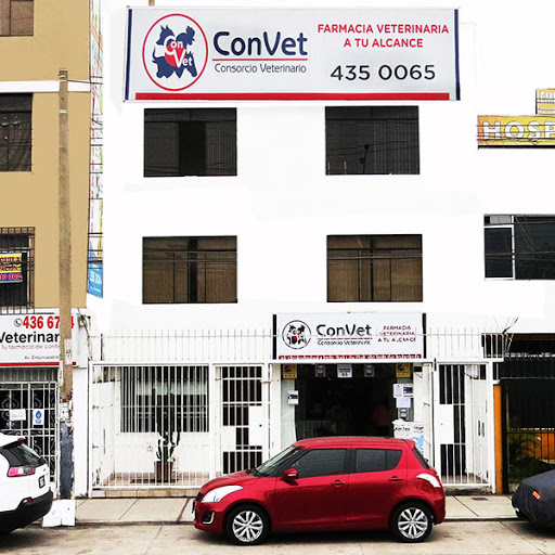 ConVet - San Luis