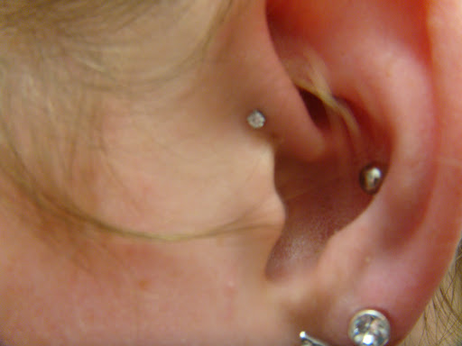 Explore lion and cub tattoo ideas, creative tattoo ideas in Des Moines, available at Axiom Body Piercing Studio