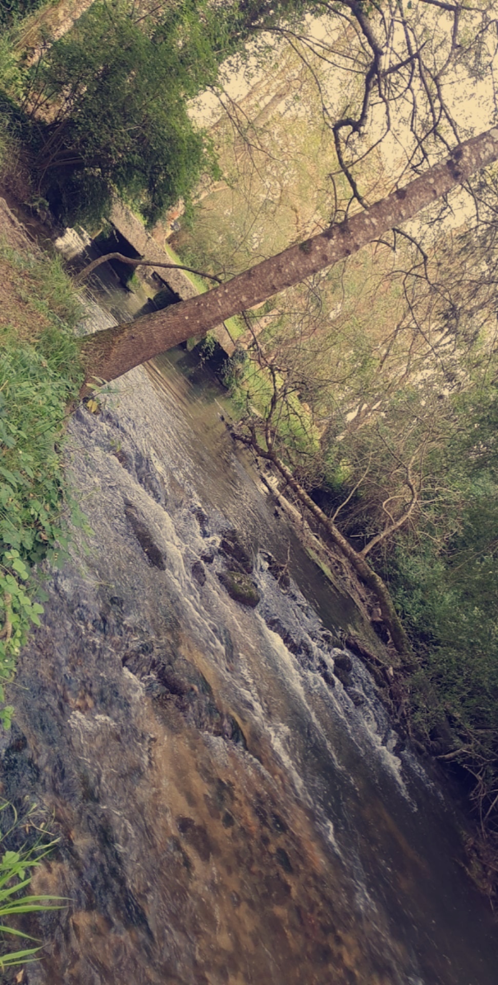 Photo n° 1 de l'avis de Romain.a fait le 12/08/2021 à 18:35