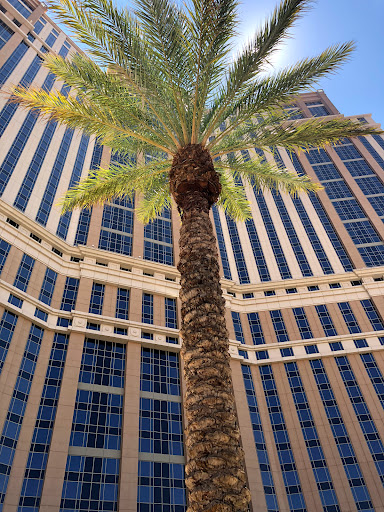 Explore ant tattoo ideas, creative tattoo ideas in South Padre Island, available at Peggys Temporary & Permanent Tattoos