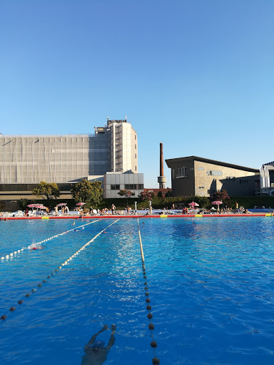 Indoor swimming pools for kids in Milan