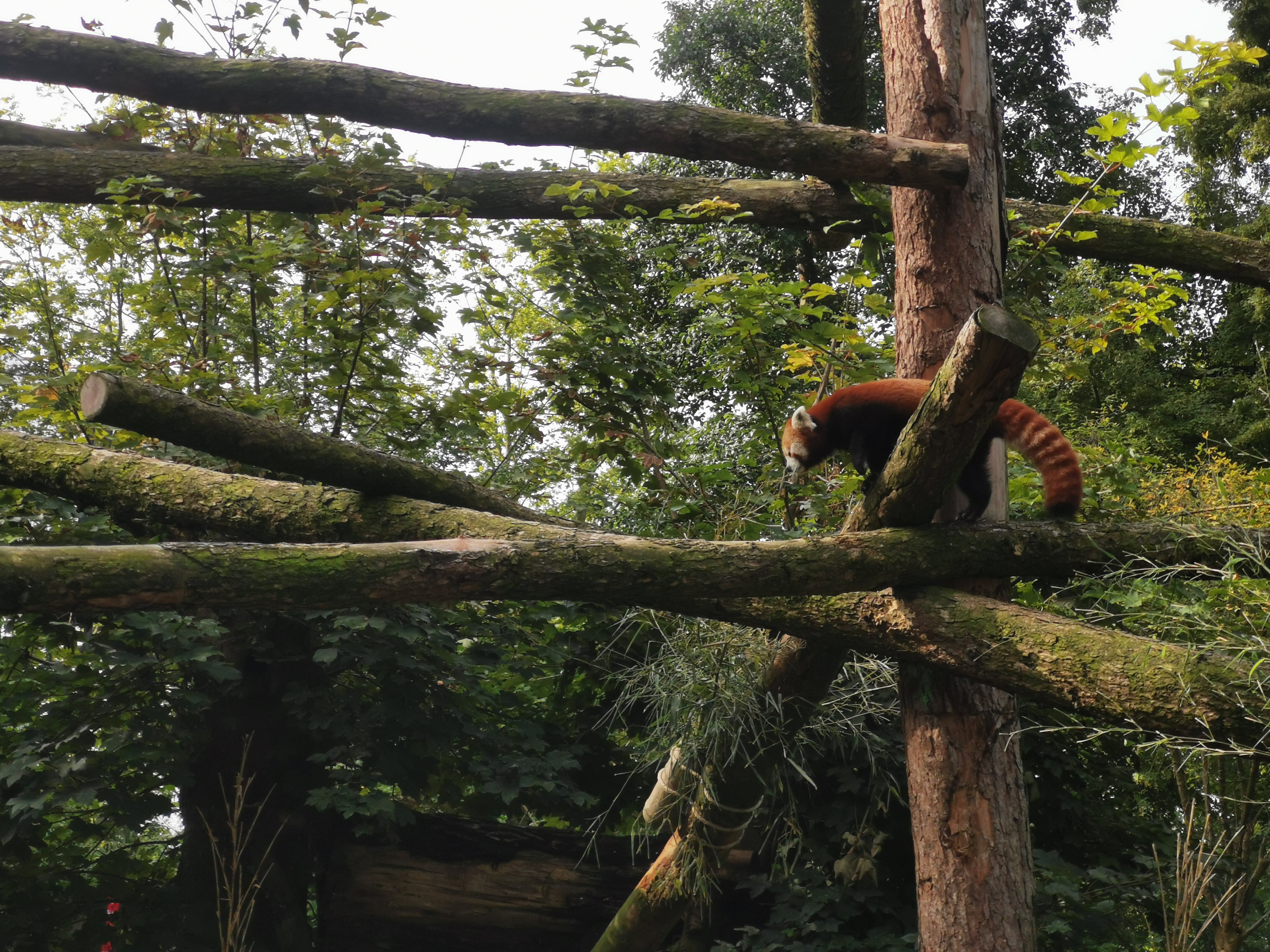 Photo n° 2 de l'avis de Marie.A fait le 11/08/2021 à 10:15