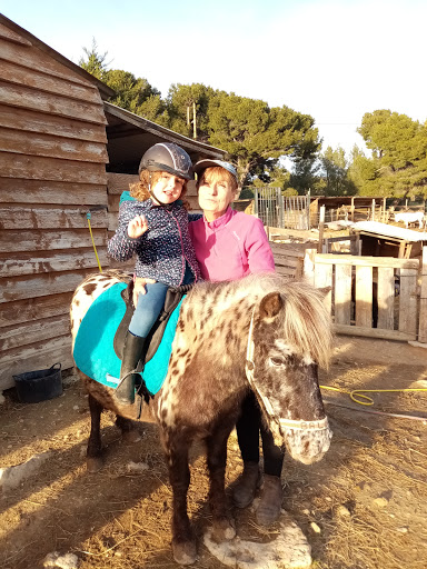 Horse riding lessons Marseille