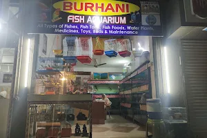 Burhani Fish Aquarium image