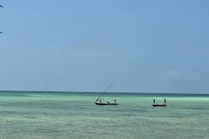 Jacaranda Bay image
