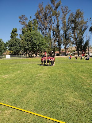Lemon Park - photo 36