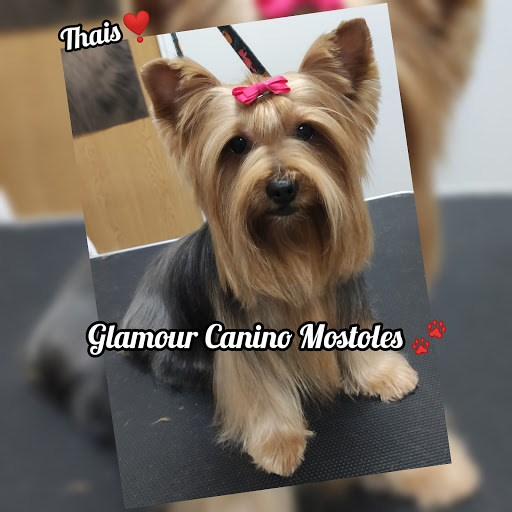 Glamour Estética Canina
