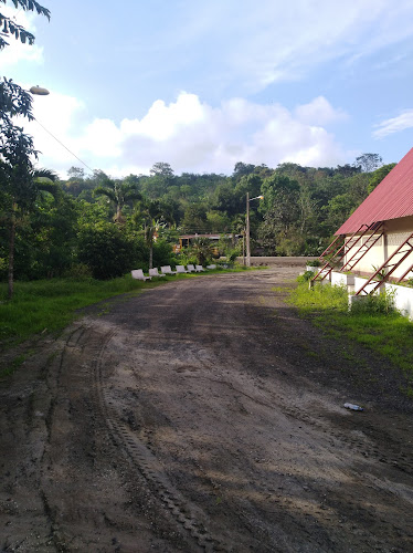 MF35+FM2, Jipijapa